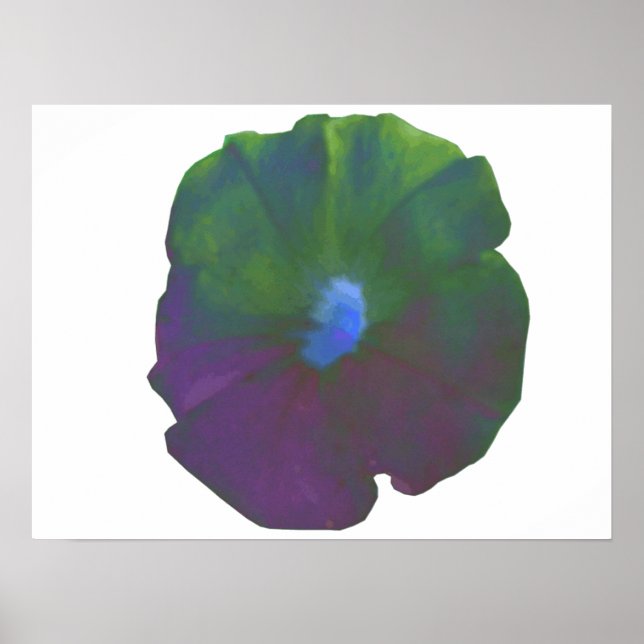 Poster Rainbow Petunia (Devant)