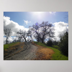 Poster Rainbow Tree Pittoresque Randonnée Nature Photogra