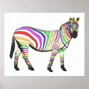 Poster Rainbow Zebra