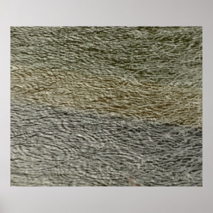 Poster Raindrop se répand Abstrait Nature Photography