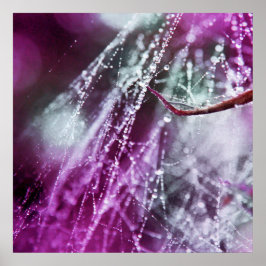 Poster Raindrops sur Purple Cobweb Macro Abstrait