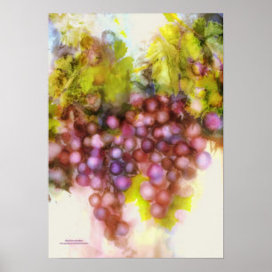 Poster raisins pourpres, peinture d'aquarelle