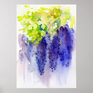 Poster Raisins Violets Aquarelle Vignoble Cuisine