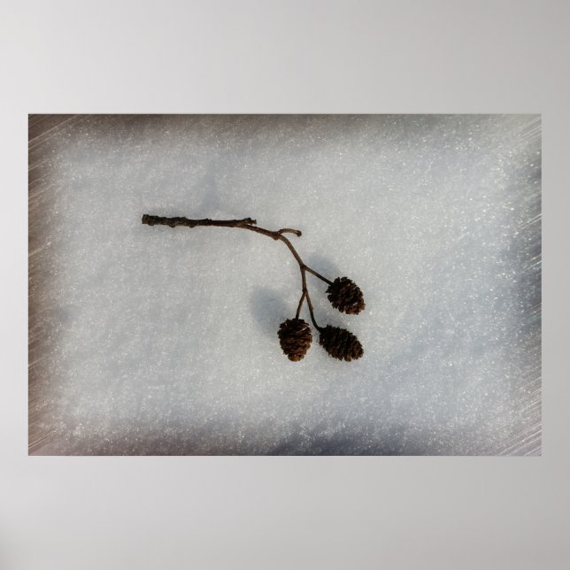 Poster rameau (Devant)