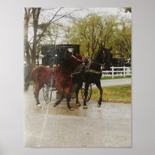 Poster Ramener le nouveau cheval à la maison de la façon 