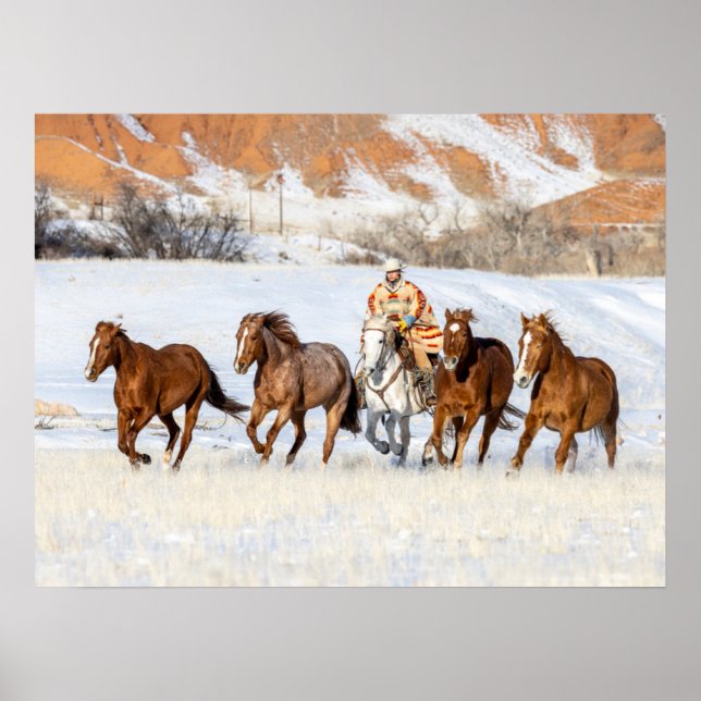 Poster  Ranch de chevaux Hideout, wrangler et chevaux (Devant)