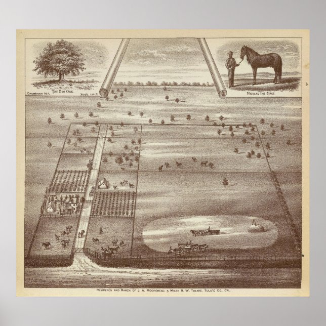 Poster Ranch Oakdale (Devant)