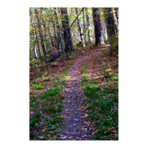 Randonnée de début d'automne