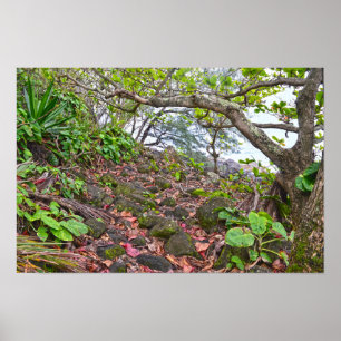 Poster Randonnée sur le sentier Kalalau, côte de Napali,