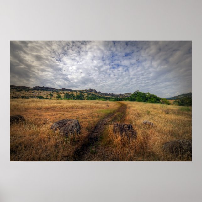 Poster Randonnée Trail (Devant)