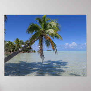 Poster Rangiroa Blue Lagoon Palm Tropical