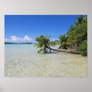 Poster Rangiroa French Polynesia