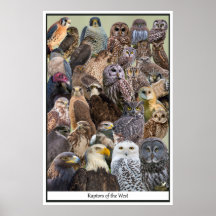 Rapporteurs de l'Ouest