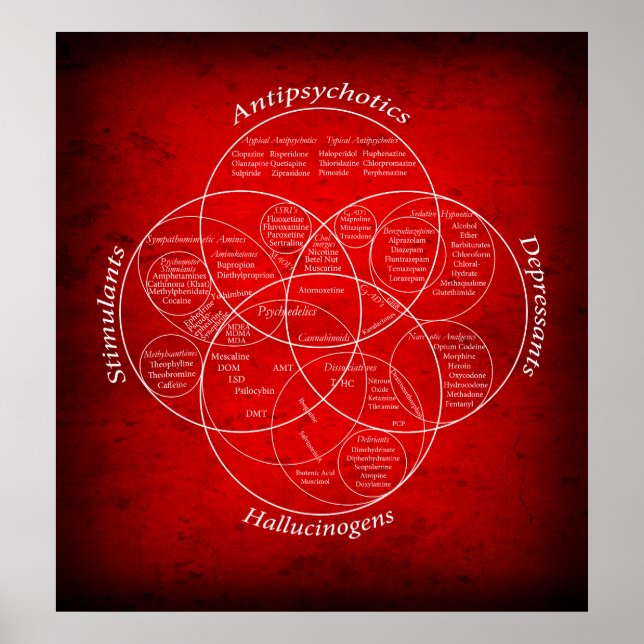 POSTER RAPPORTS MÉDICAMENTS DIAGRAMME VENN (Devant)