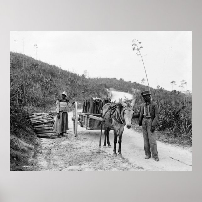 Poster Rassemblement sisal, Nassau, Îles Bahama, c1900 (Devant)