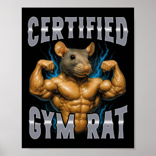 Poster Rat de gym certifié
