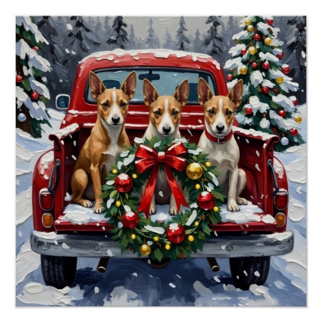 Poster Rat Terrier Christmas Red Truck Holiday (Devant)