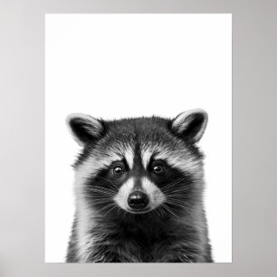 Poster Raton laveur Forêt Moderne Portrait noir blanc