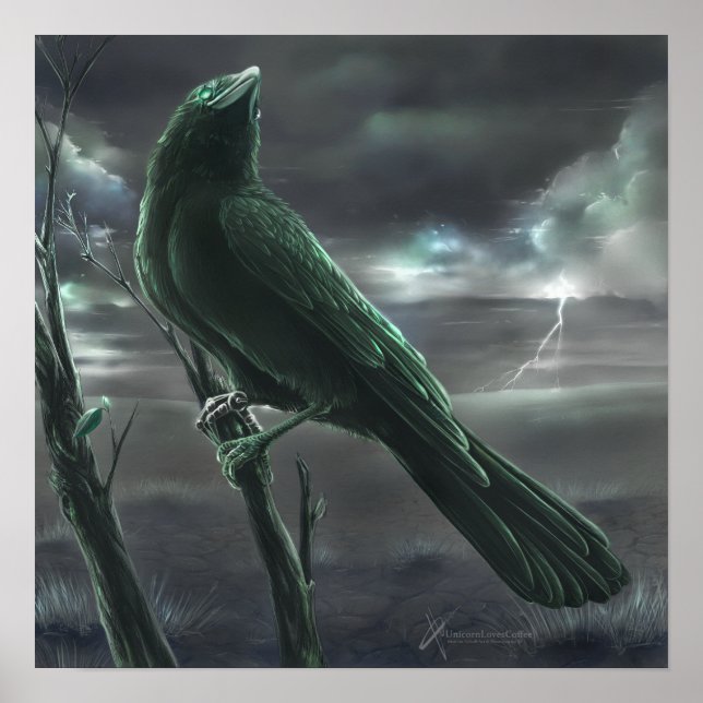 Poster Raven bot (Devant)