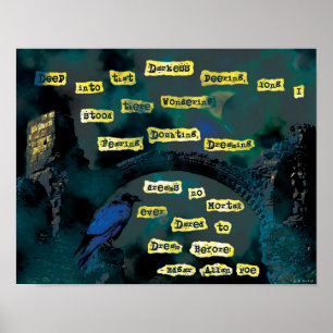 Poster Raven du Poe