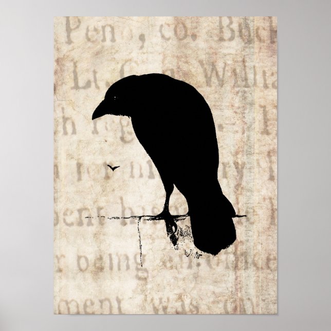 Poster Raven Silhouette (Devant)