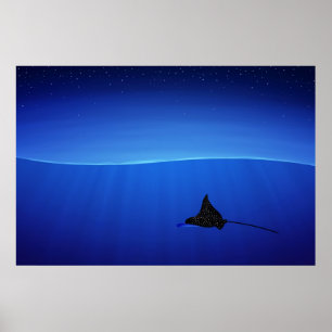 Poster Rayon d'aigle tacheté, Aetobatus narinari