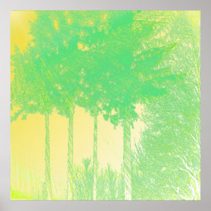 Poster Rayons d'espoir 3 arbres Imprimer