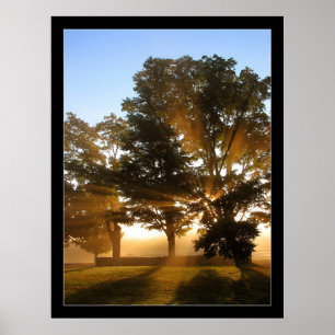 Poster Rayons lumineux 4