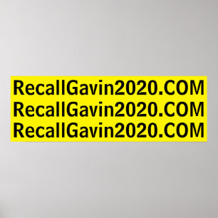 Poster recallgavin2020 36x12