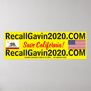 Poster recallgavin2020 36x12