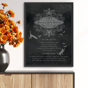Poster Recette de potion de chats et chauves-souris amusa