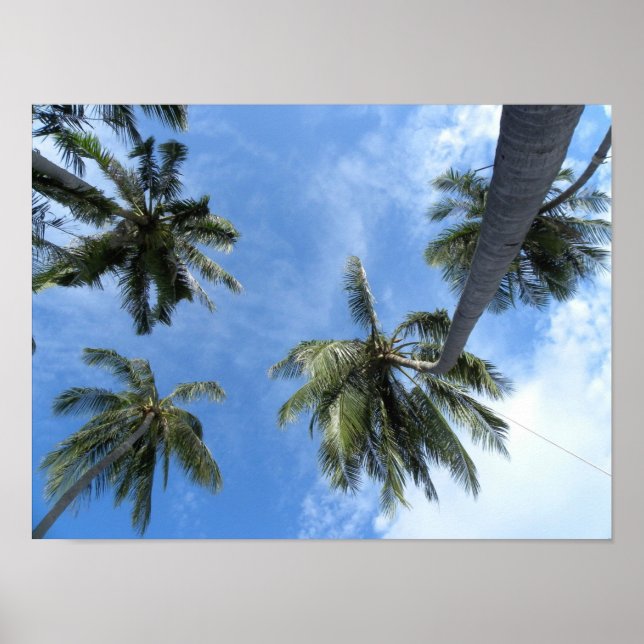 Poster Recherche (Devant)