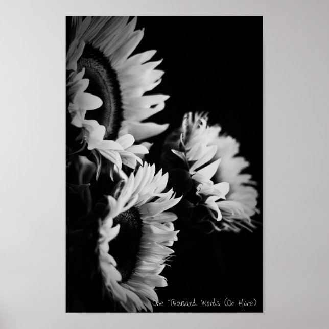 Poster Recherche (Devant)