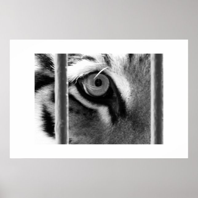 Poster recherche (Devant)