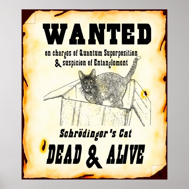 Poster "Recherché" du chat de Schrodinger (Devant)