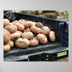 Poster Récolte citrouille Sur Camion De Récolte Automne