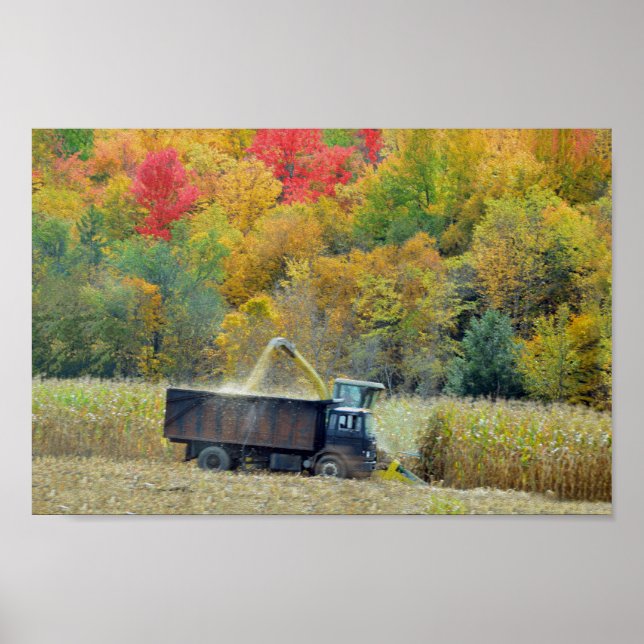 Poster Récolte de maïs dans le Vermont (Devant)