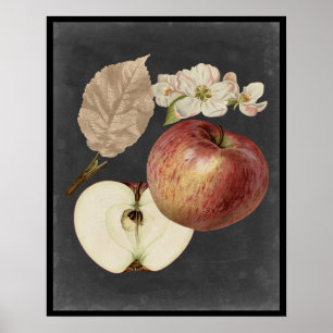 Poster Récolte de minuit II