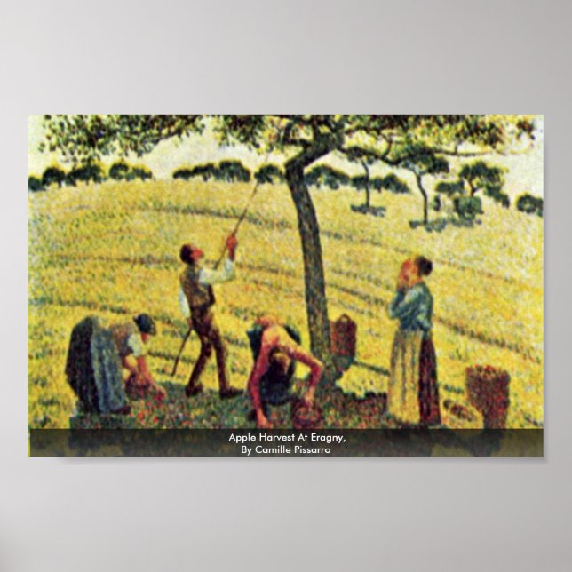 Poster Récolte De Pommes À Eragny, Par Camille Pissarro (Devant)
