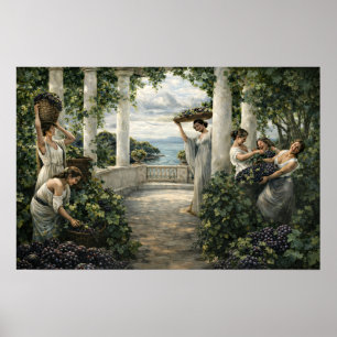 Poster Récolte de raisin dans un vignoble méditerranéen