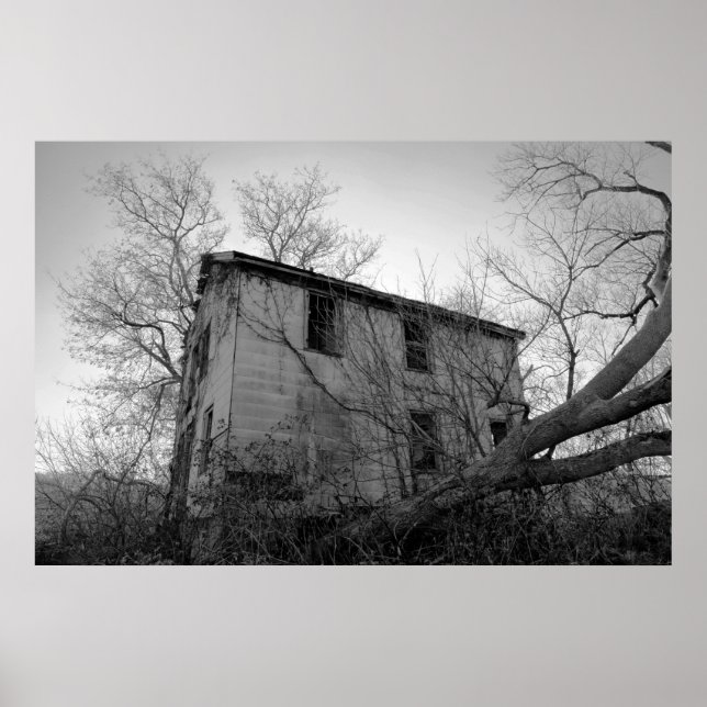 Poster Recroissance (Devant)