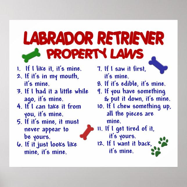 POSTER RÉCUPÉRATION DE LABRADOR PL2 (Devant)