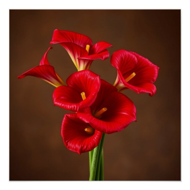 Poster red callas (Devant)