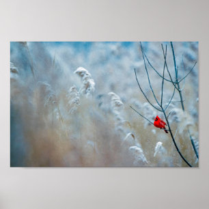 Poster Red Cardinal dans Winter Nature Photo de Christmas