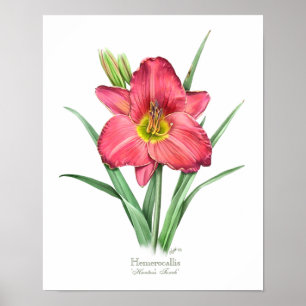 Poster Red Daylial Original Art Print