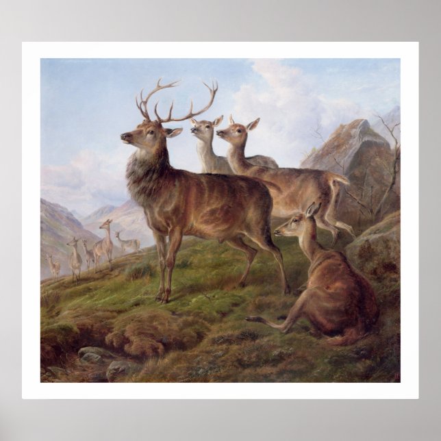 Poster Red Deer dans un paysage des Highlands, 1872 (huil (Devant)