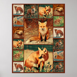 Poster Red Fox Collage
