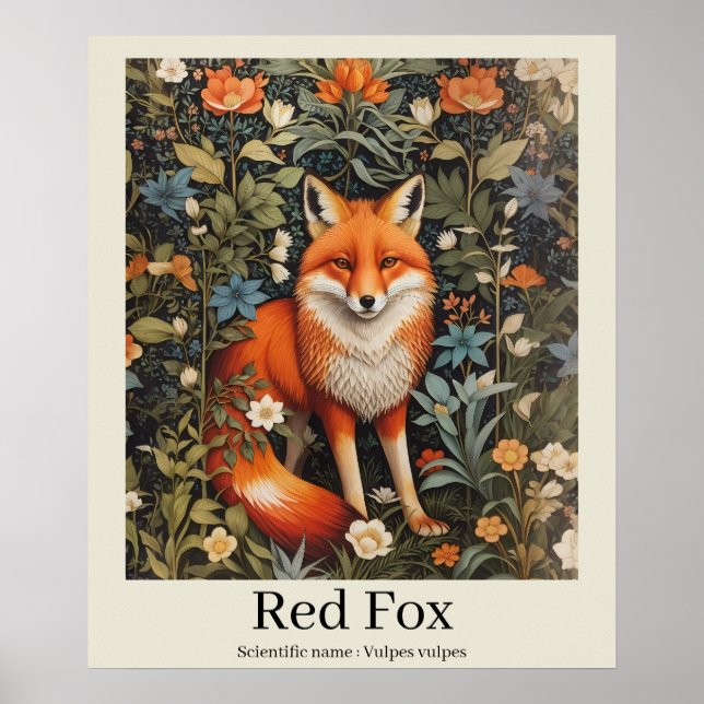 Poster Red Fox Nom scientifique Faune (Devant)