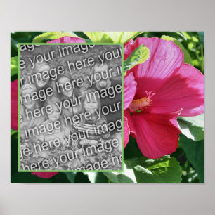 Poster Red Hibiscus Flower Frame Ajouter Votre Photo