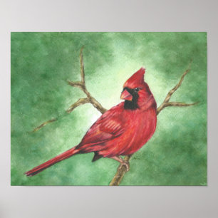 Poster Red Male Cardinal in Tree